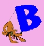 B